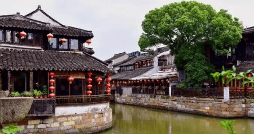 拯救小萌虎